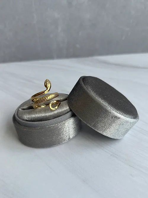 Anillo serpiente